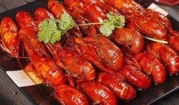 《龙虾》在线观看