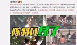 王小羽天涯爆料视频