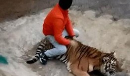 美国饲养员爆料事件视频,动物福利现状令人堪忧