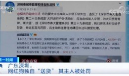 深圳黄先生最新爆料,揭秘事件背后惊人真相