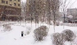 昆明爆料下雪视频大全,网友视频记录冬日美景