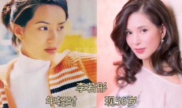 娱乐明星解说大爆料,明星幕后故事全曝光