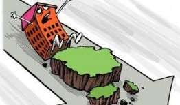 买房买几层圈内人爆料1,圈内人爆料楼层选购技巧