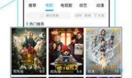 天堂在线视频观看一,见证一生光影流转