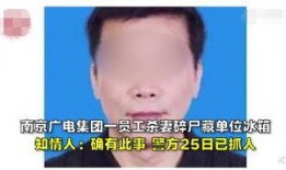 南京广电杀妻爆料视频,真相揭露背后的家庭悲剧