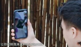 四太爆料何猷君视频播放,揭秘豪门背后的真相