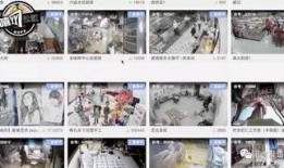 直播生活在线观看今天,实时捕捉生活点滴