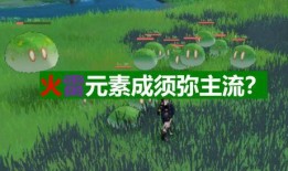 须弥舅舅爆料视频大全集,揭秘幕后真相与精彩瞬间