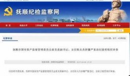 抚顺新闻爆料,揭秘某重大事件背后真相