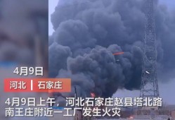 河北学校爆料事件视频曝光,真相揭开，引发社会关注