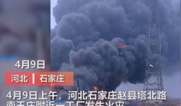 河北学校爆料事件视频曝光,真相揭开，引发社会关注
