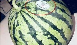 超帅网红吃瓜图片头像,解锁超帅头像背后的故事