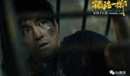 孤注一掷电影爆料视频大全,电影爆料视频大揭秘，幕后真相全曝光