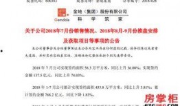 华润最新爆料,揭秘行业巨头背后的秘密与挑战”