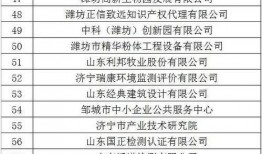 山东闪电新闻爆料电话,揭露社会热点，倾听民声心声