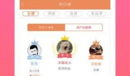 各种八卦爆料视频播放下载,热门播放下载背后的秘密解析