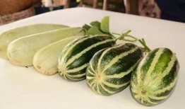 网红免费吃瓜视频,揭秘幕后真相与娱乐效应