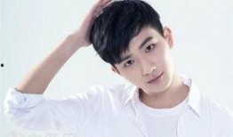 央视爆料李宏毅视频,揭秘背后惊人内幕