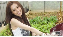 娱乐爆料湾湾小天后,揭秘明星幕后故事