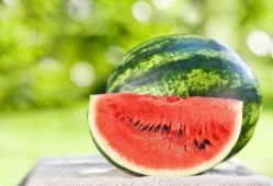 芒芒吃瓜娱乐清凉一夏,清凉一夏，娱乐盛宴来袭！