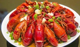 《龙虾》在线观看