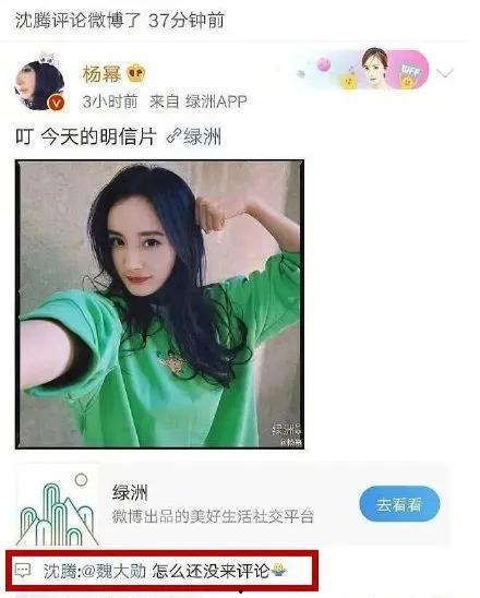 娱乐圈吃瓜小程序是什么