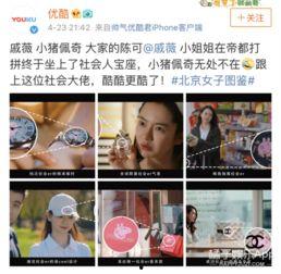 吃瓜猪娱乐视频,揭秘娱乐圈幕后故事